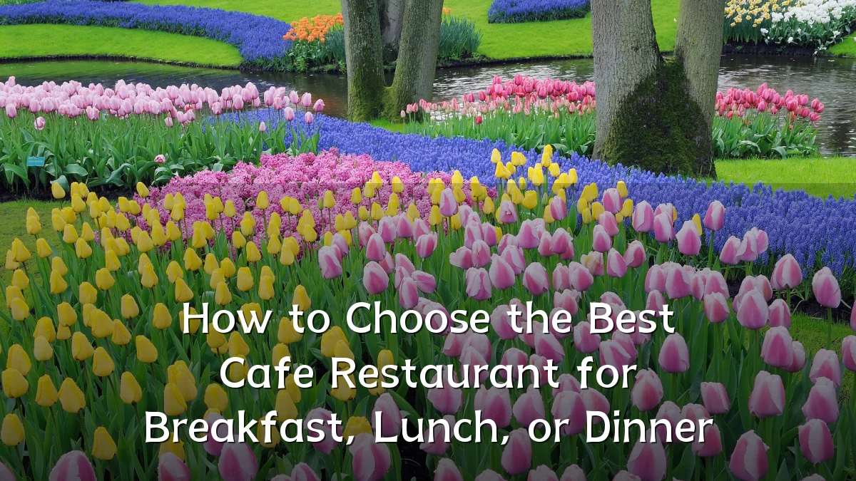 How to Choose the Best Cafe Restaurant for Breakfast, Lunch, or Dinner