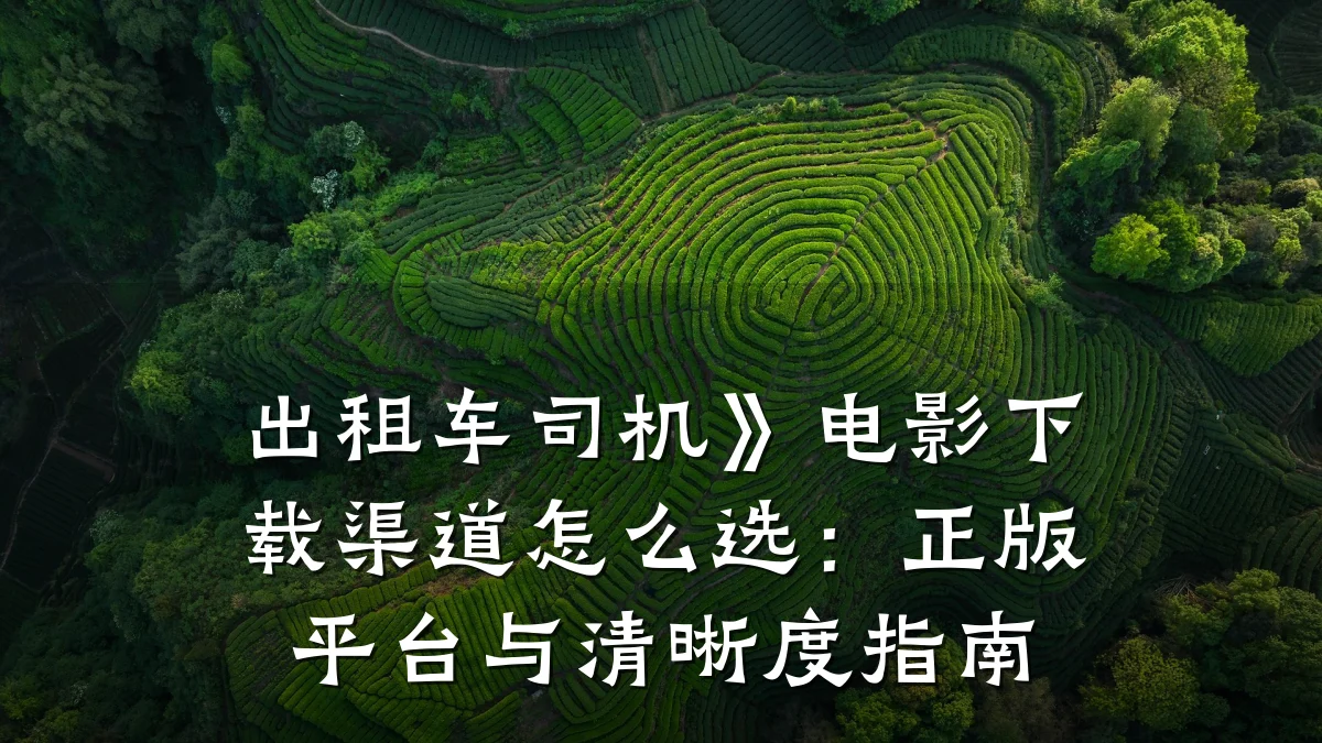 出租车司机》电影下载渠道怎么选:正版平台与清晰度指南