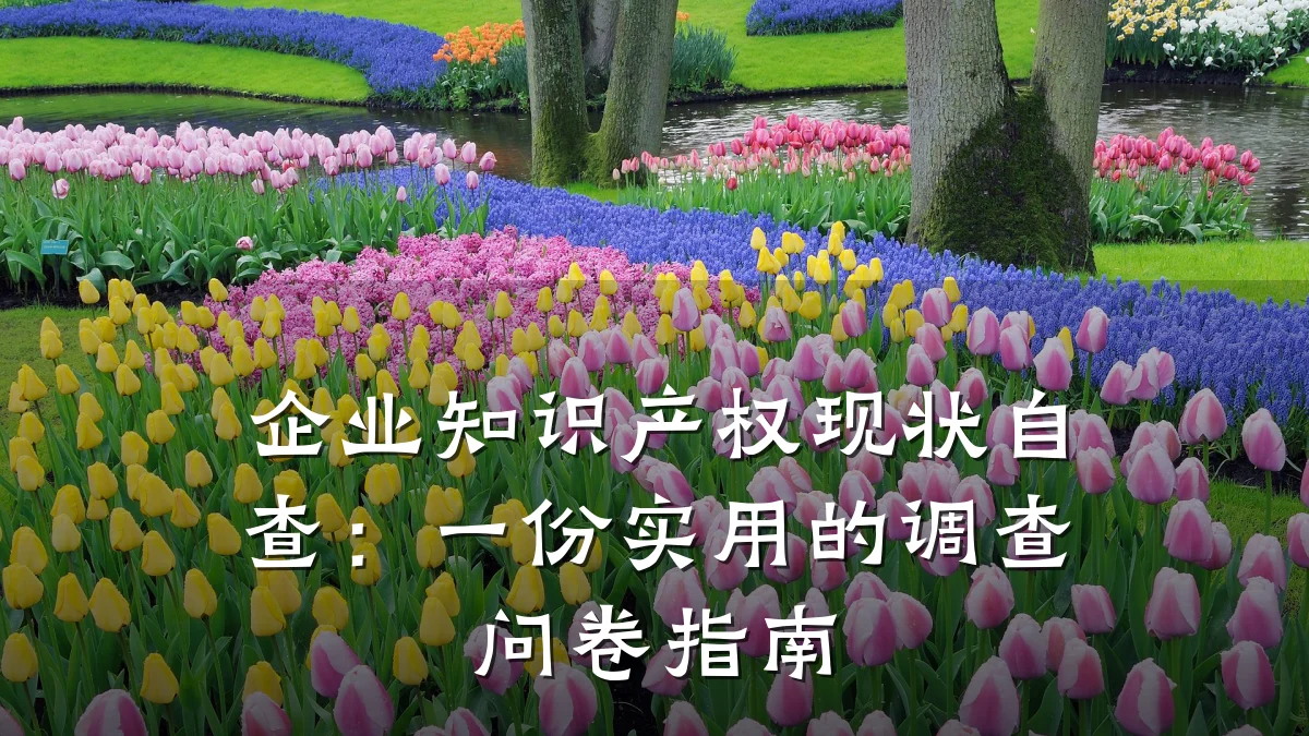 企业知识产权现状自查:一份实用的调查问卷指南