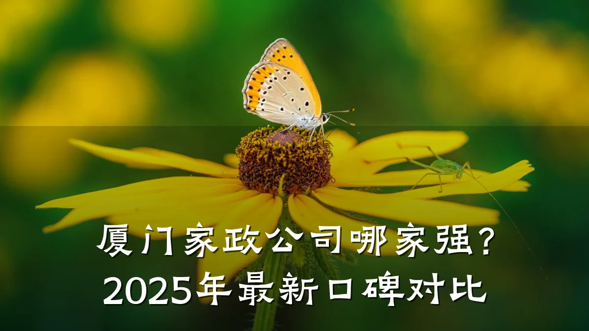 厦门家政公司哪家强?2025年最新口碑对比