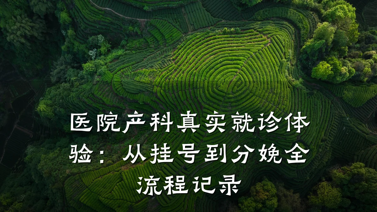 医院产科真实就诊体验:从挂号到分娩全流程记录