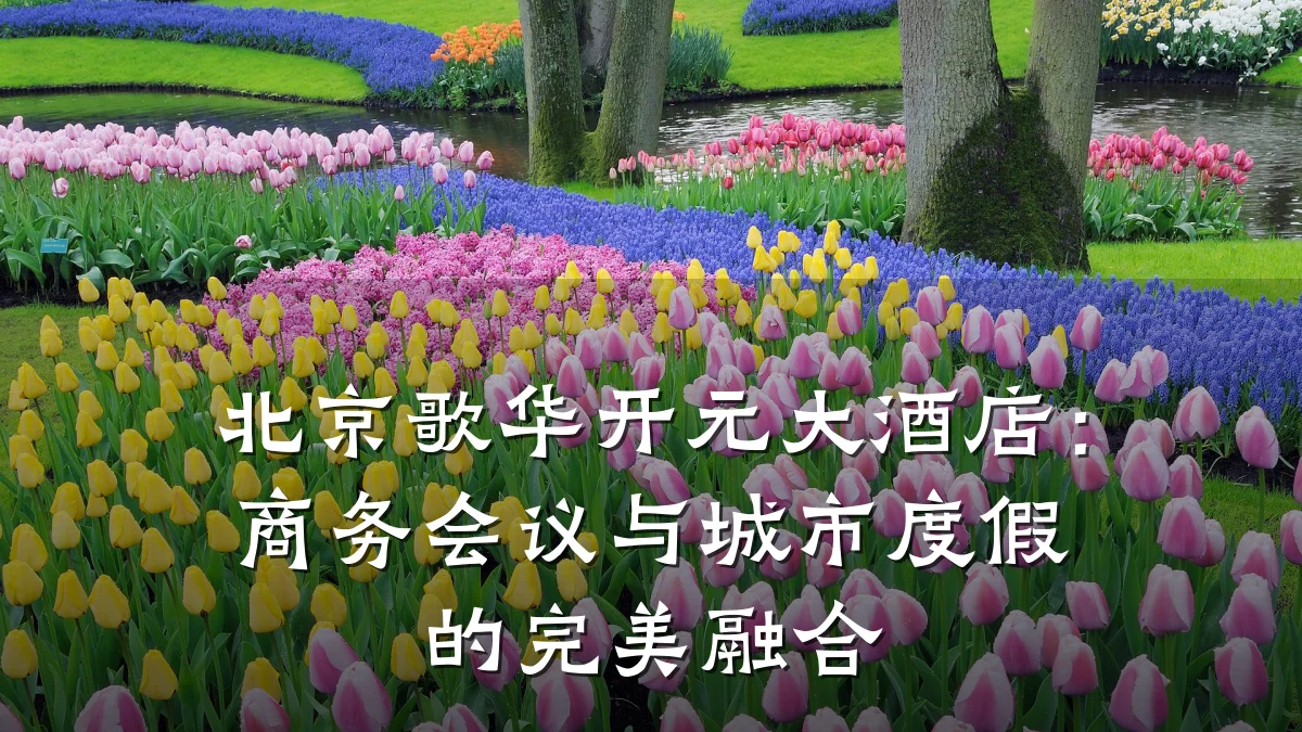北京歌华开元大酒店:商务会议与城市度假的完美融合