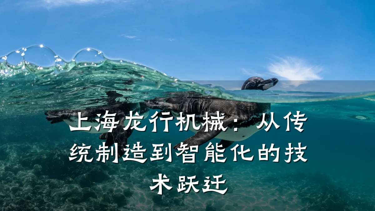 上海龙行机械:从传统制造到智能化的技术跃迁