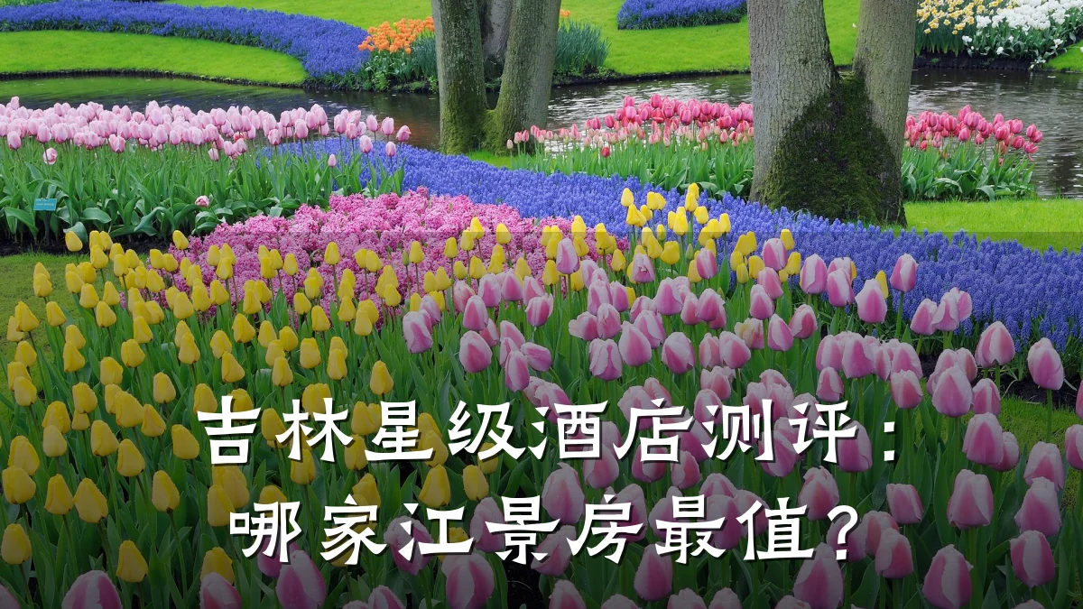 吉林星级酒店测评：哪家江景房最值？