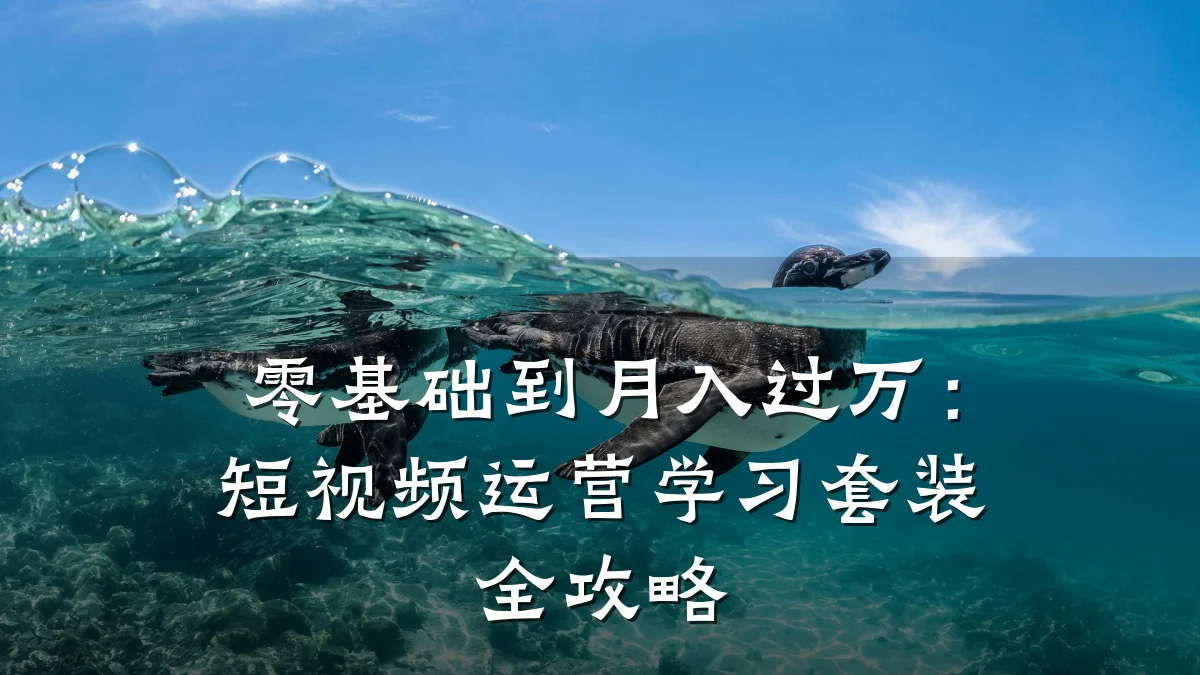 零基础到月入过万:短视频运营学习套装全攻略