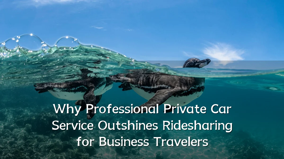 Why Professional Private Car Service Outshines Ridesharing for Business Travelers