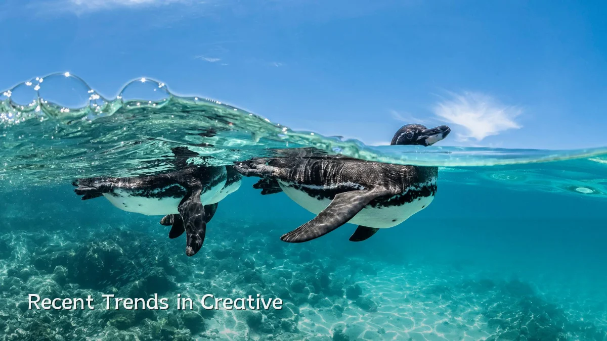 Recent Trends in Creative