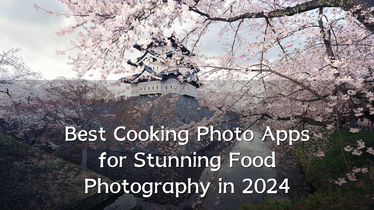 Best Cooking Photo Apps for Stunning Food Photography in 2024