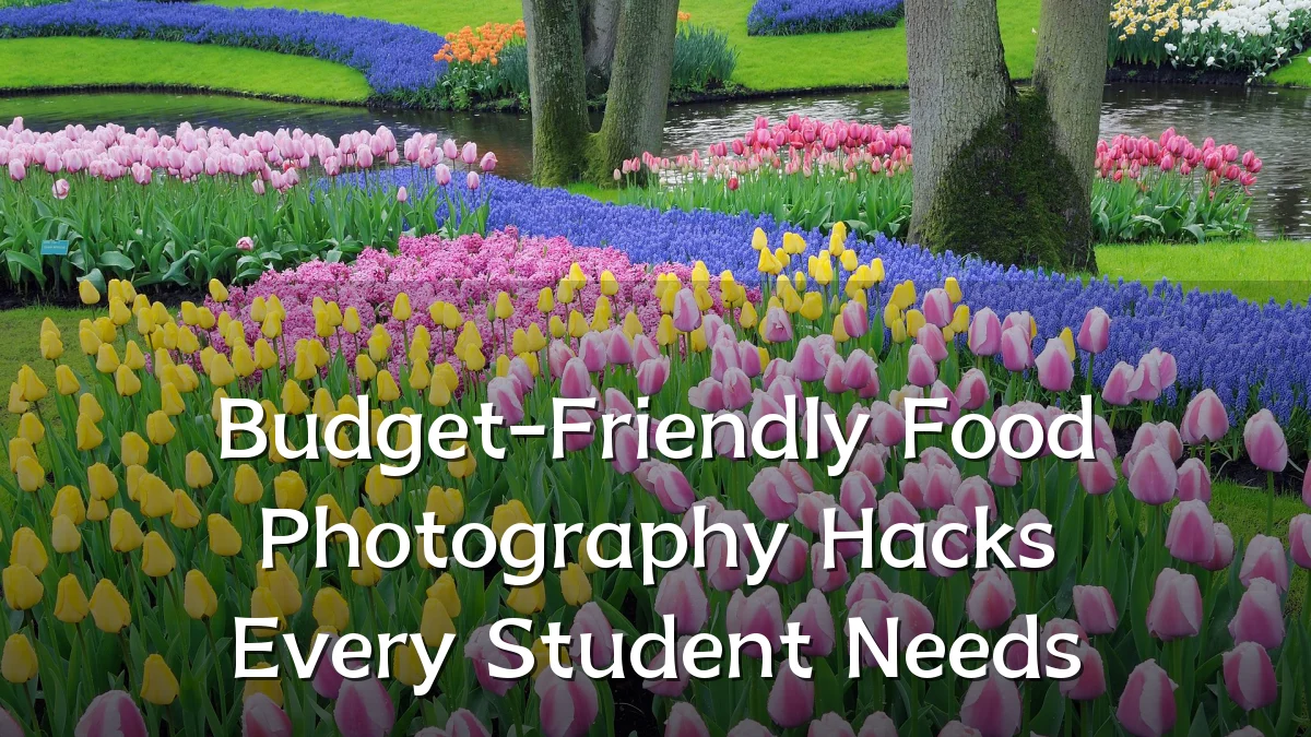 Budget-Friendly Food Photography Hacks Every Student Needs
