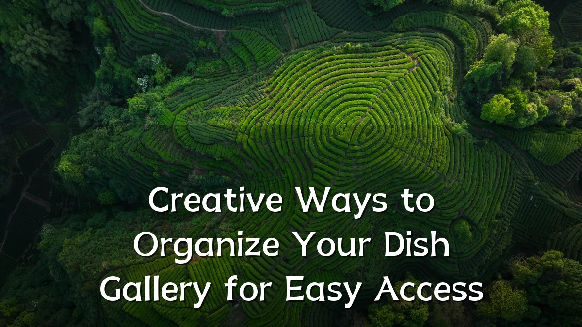 Creative Ways to Organize Your Dish Gallery for Easy Access