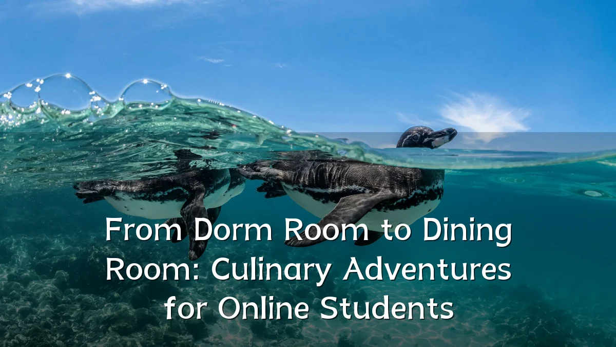 From Dorm Room to Dining Room: Culinary Adventures for Online Students