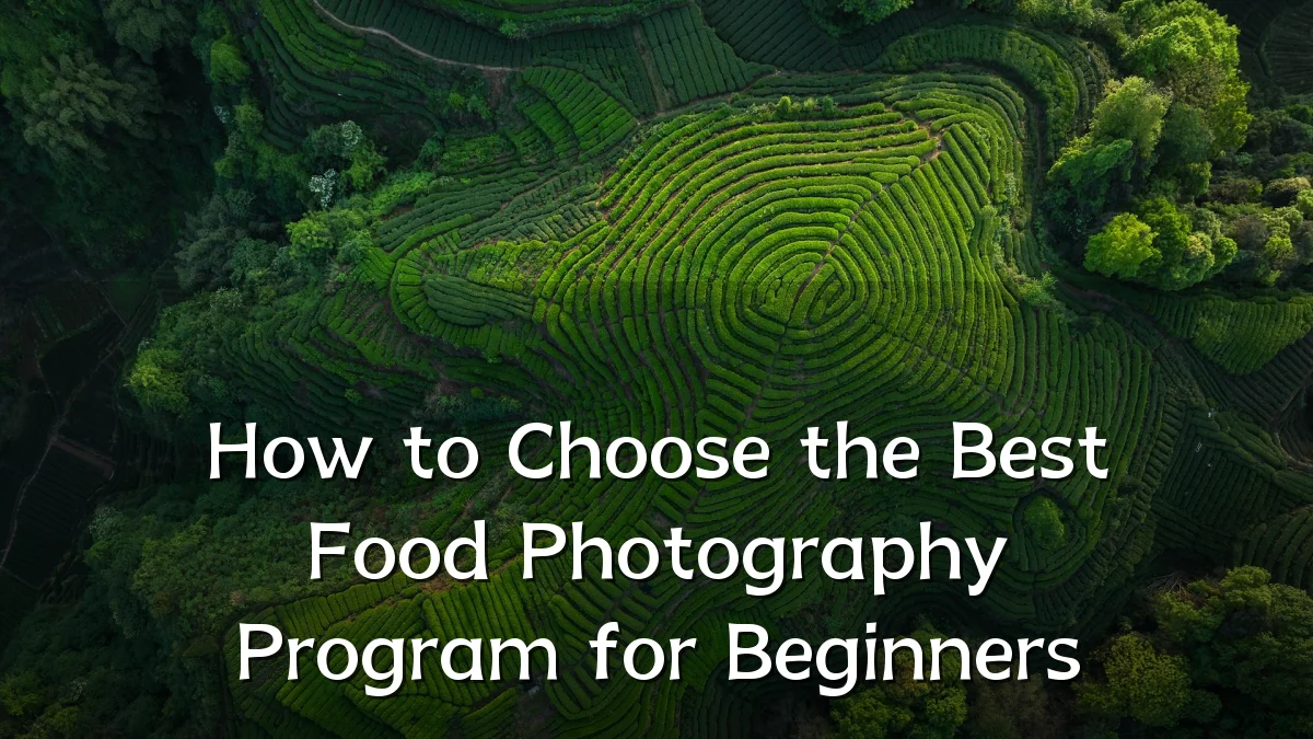 How to Choose the Best Food Photography Program for Beginners