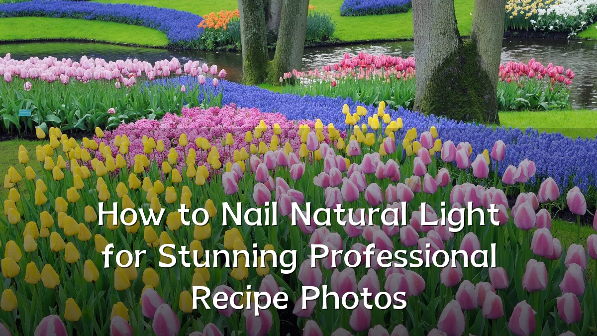 How to Nail Natural Light for Stunning Professional Recipe Photos