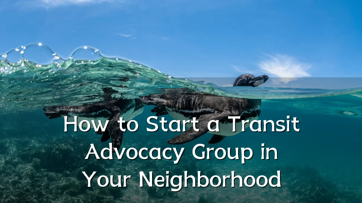 How to Start a Transit Advocacy Group in Your Neighborhood