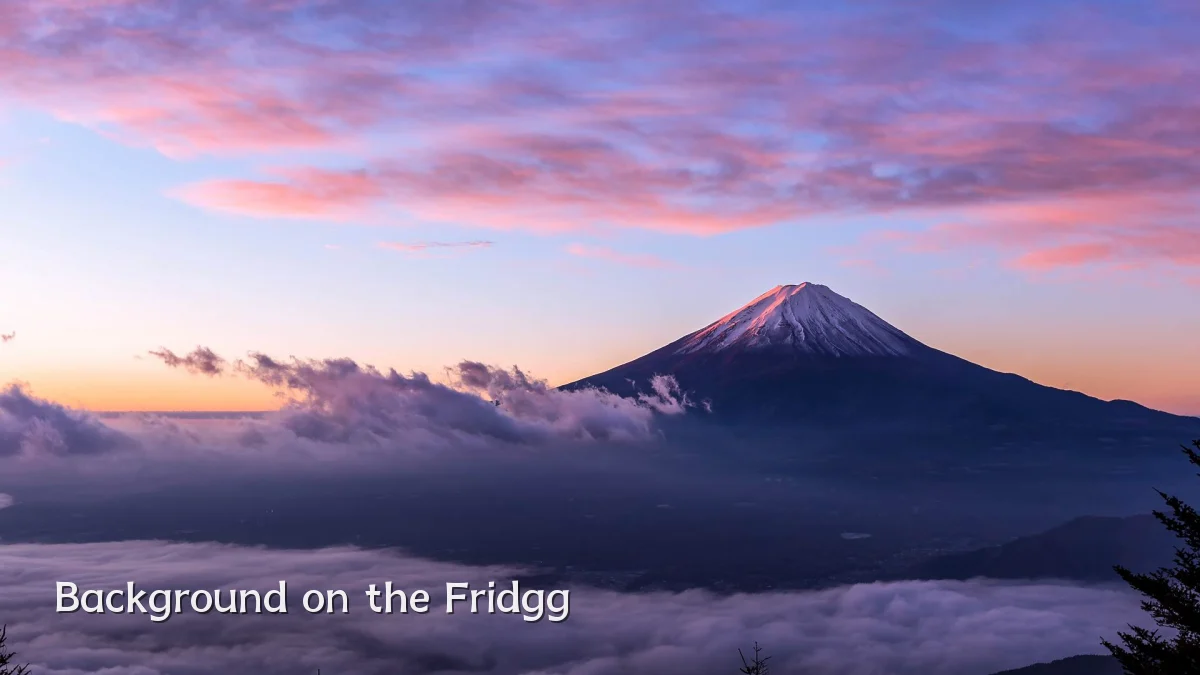 Background on the Fridgg