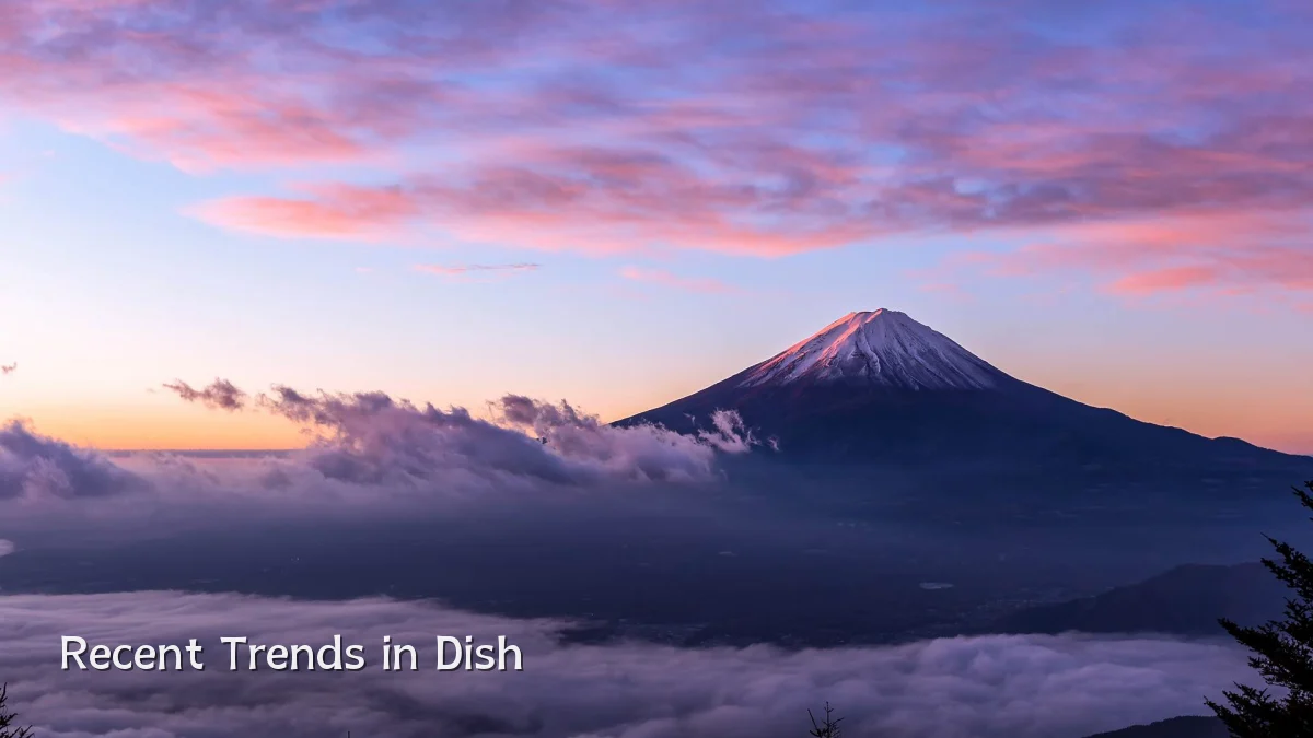 Recent Trends in Dish