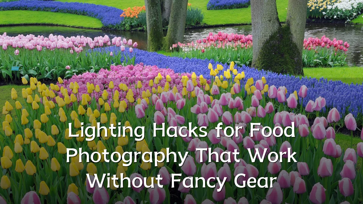 Lighting Hacks for Food Photography That Work Without Fancy Gear