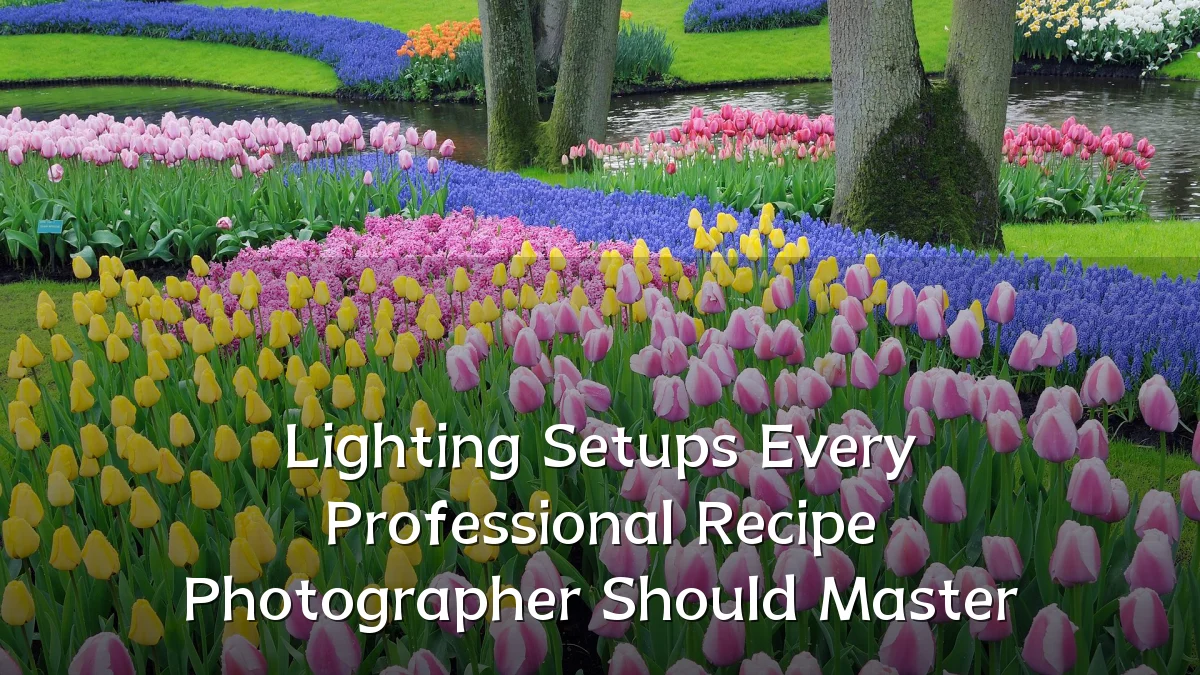 Lighting Setups Every Professional Recipe Photographer Should Master