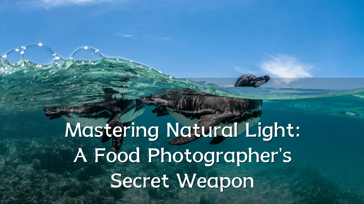 Mastering Natural Light: A Food Photographer's Secret Weapon