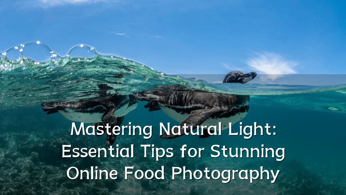 Mastering Natural Light: Essential Tips for Stunning Online Food Photography