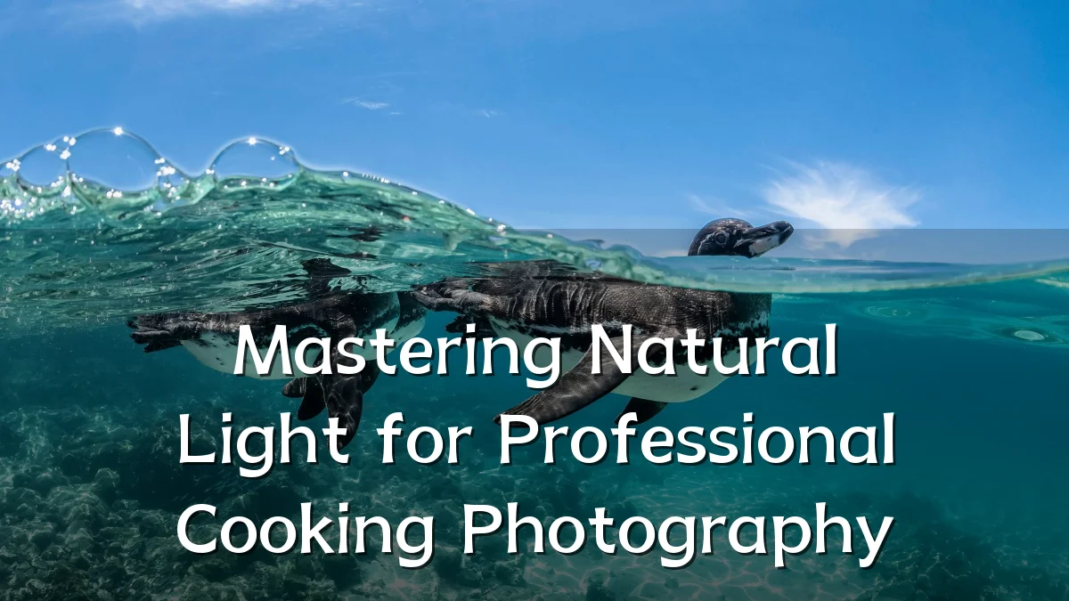 Mastering Natural Light for Professional Cooking Photography