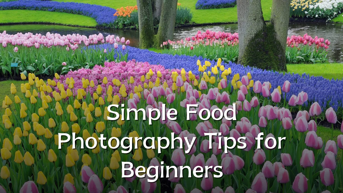 Simple Food Photography Tips for Beginners