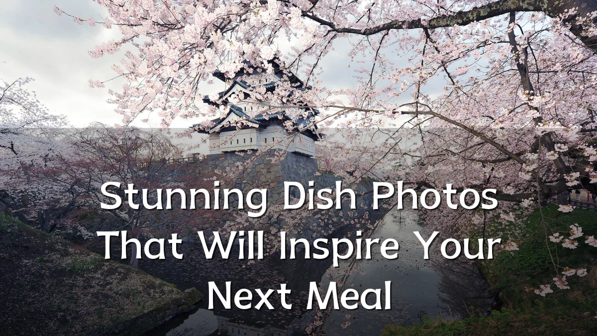 Stunning Dish Photos That Will Inspire Your Next Meal