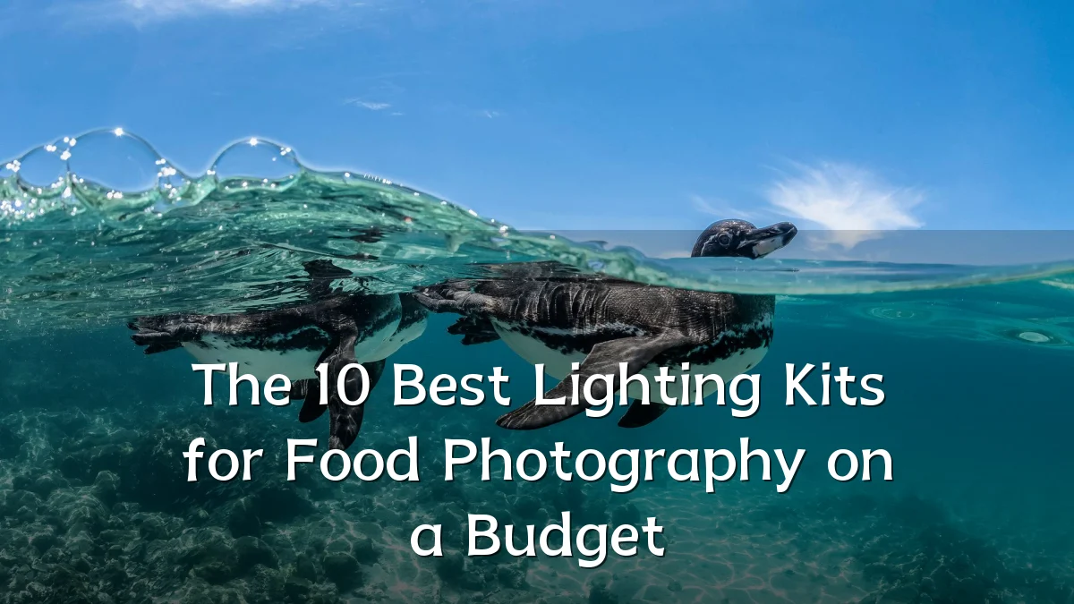 The 10 Best Lighting Kits for Food Photography on a Budget