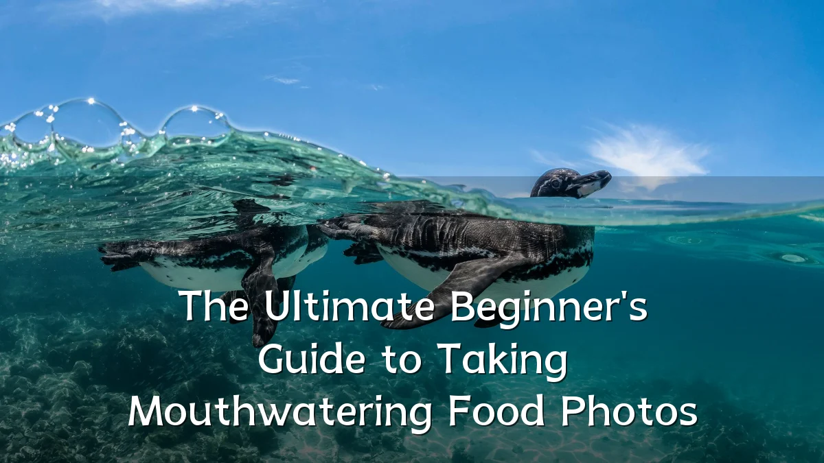 The Ultimate Beginner's Guide to Taking Mouthwatering Food Photos