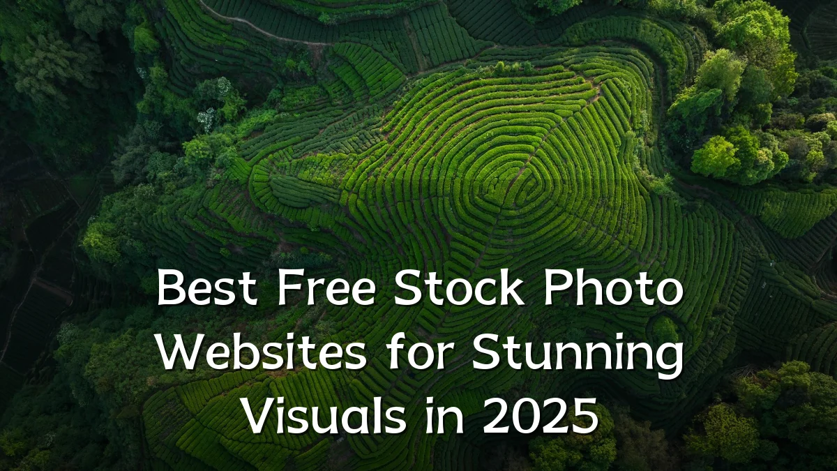 Best Free Stock Photo Websites for Stunning Visuals in 2025