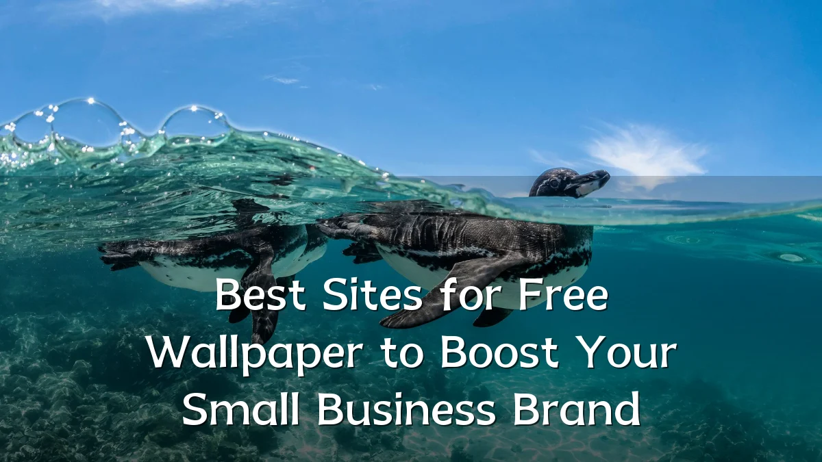 Best Sites for Free Wallpaper to Boost Your Small Business Brand