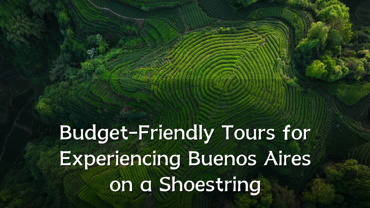 Budget-Friendly Tours for Experiencing Buenos Aires on a Shoestring