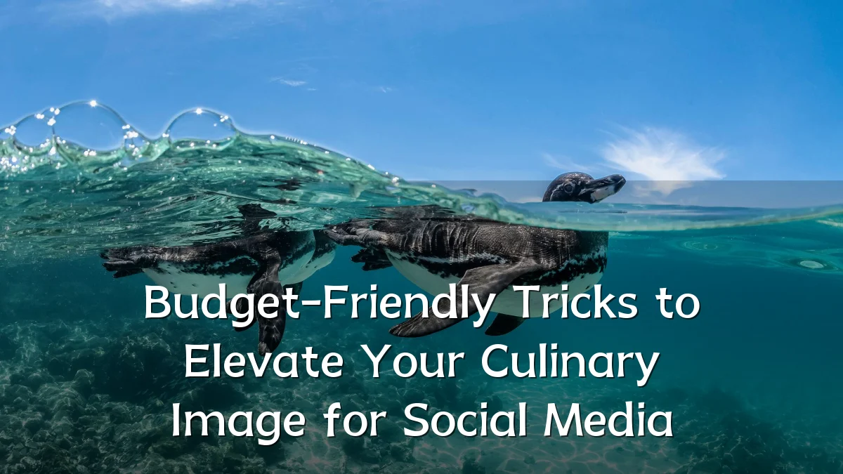 Budget-Friendly Tricks to Elevate Your Culinary Image for Social Media