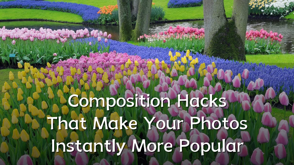 Composition Hacks That Make Your Photos Instantly More Popular