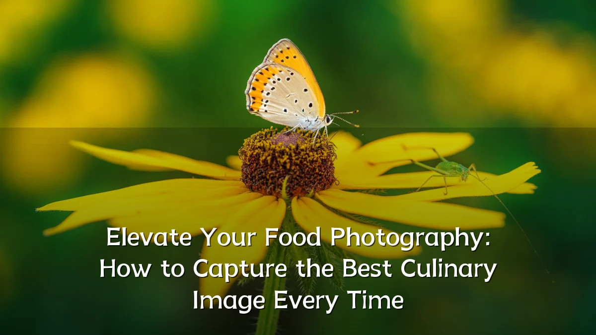 Elevate Your Food Photography: How to Capture the Best Culinary Image Every Time
