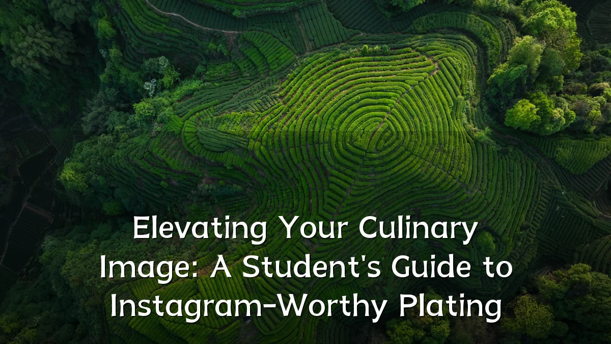 Elevating Your Culinary Image: A Student's Guide to Instagram-Worthy Plating