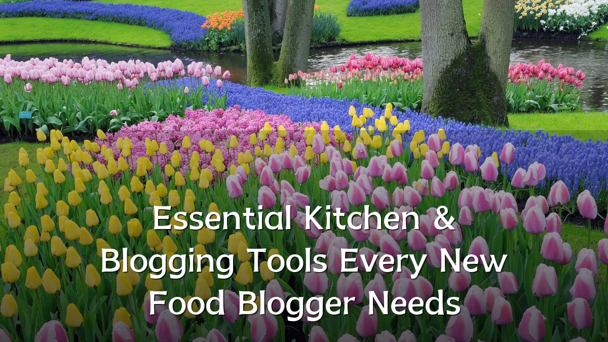 Essential Kitchen & Blogging Tools Every New Food Blogger Needs