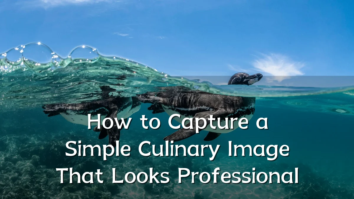 How to Capture a Simple Culinary Image That Looks Professional