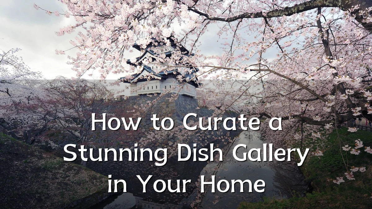How to Curate a Stunning Dish Gallery in Your Home
