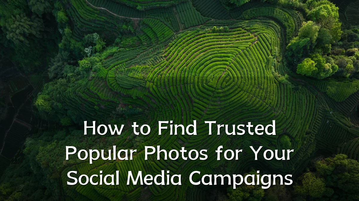 How to Find Trusted Popular Photos for Your Social Media Campaigns