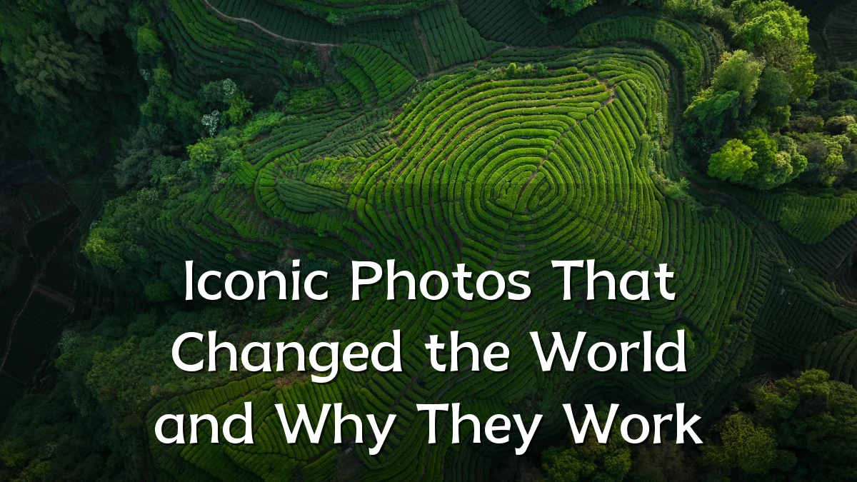 Iconic Photos That Changed the World and Why They Work