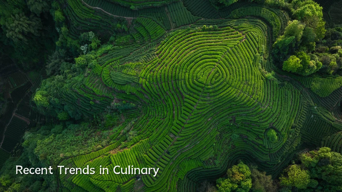Recent Trends in Culinary