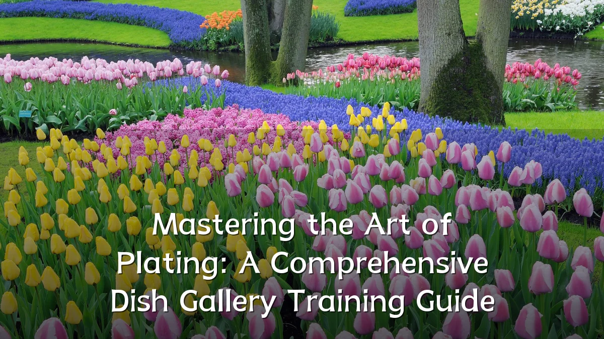 Mastering the Art of Plating: A Comprehensive Dish Gallery Training Guide