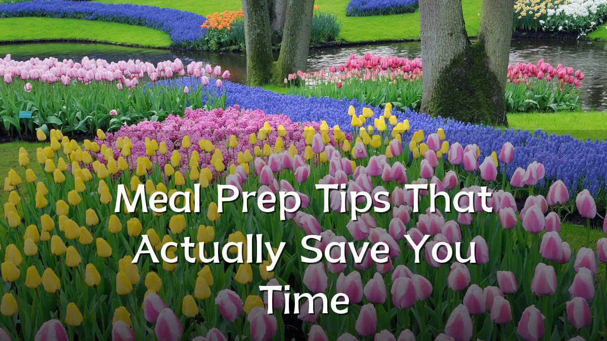 Meal Prep Tips That Actually Save You Time