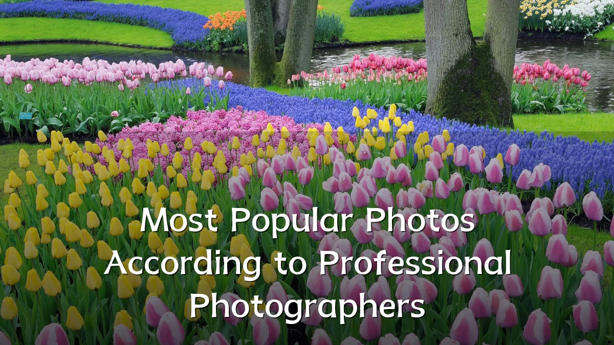 Most Popular Photos According to Professional Photographers