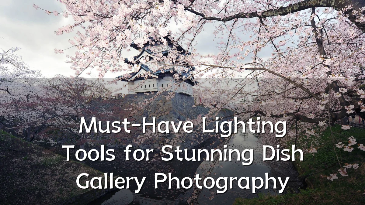 Must-Have Lighting Tools for Stunning Dish Gallery Photography