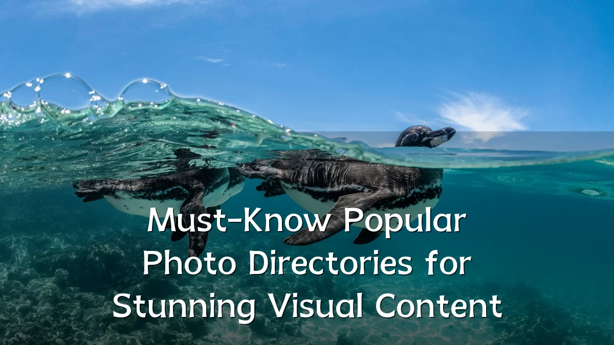 Must-Know Popular Photo Directories for Stunning Visual Content