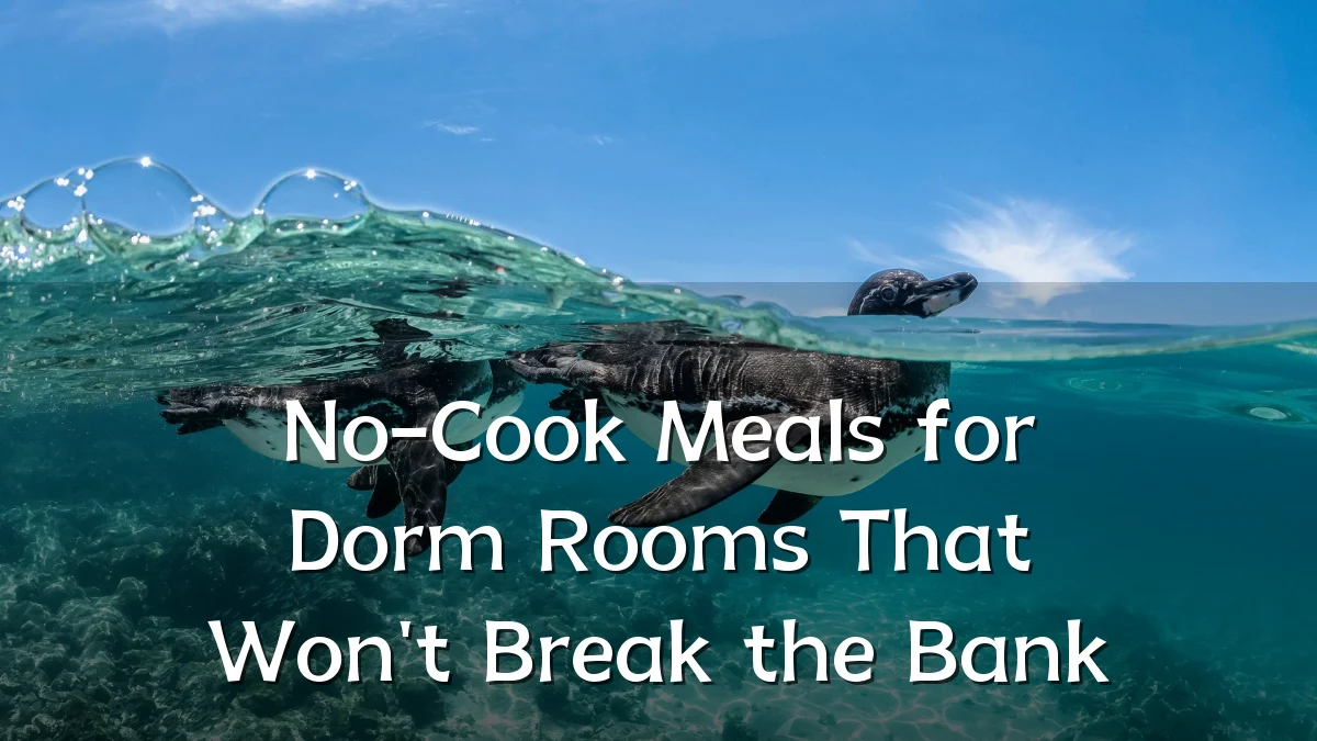 No-Cook Meals for Dorm Rooms That Won't Break the Bank