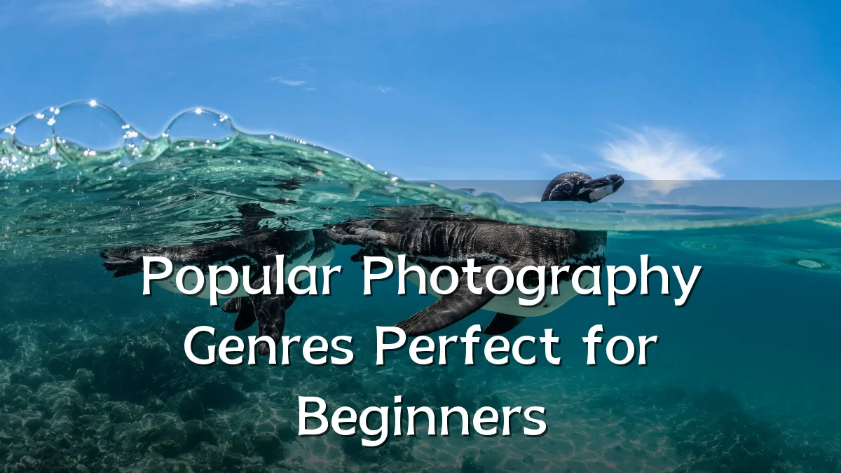 Popular Photography Genres Perfect for Beginners
