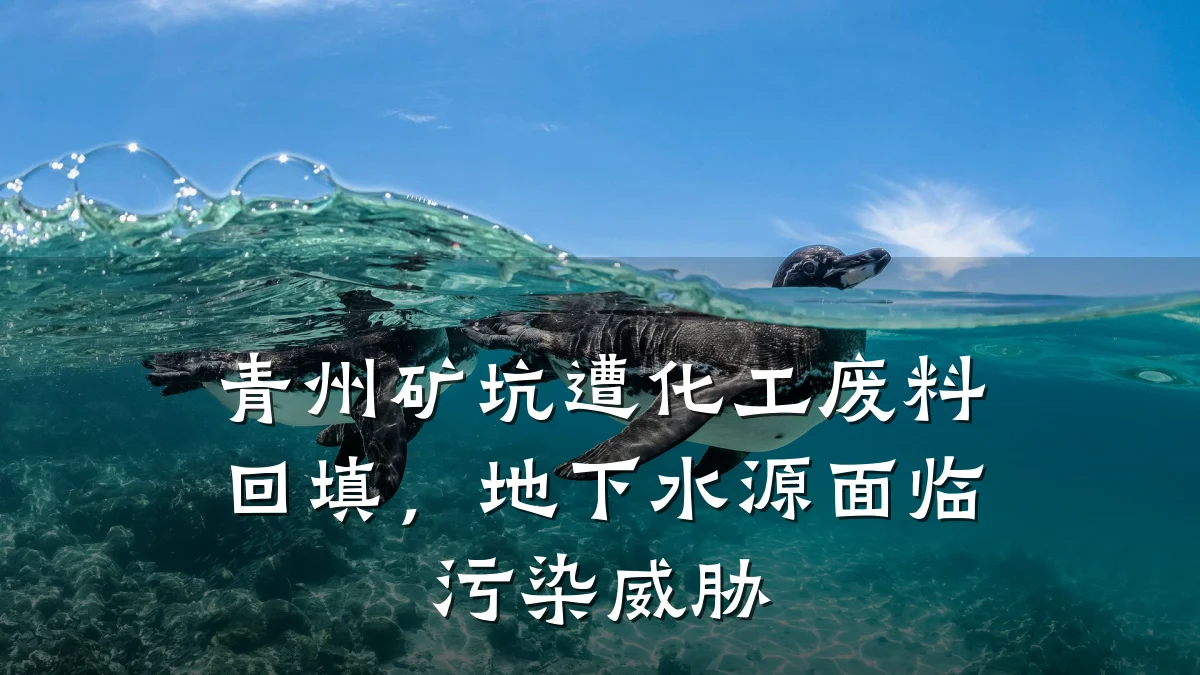 青州矿坑遭化工废料回填,地下水源面临污染威胁